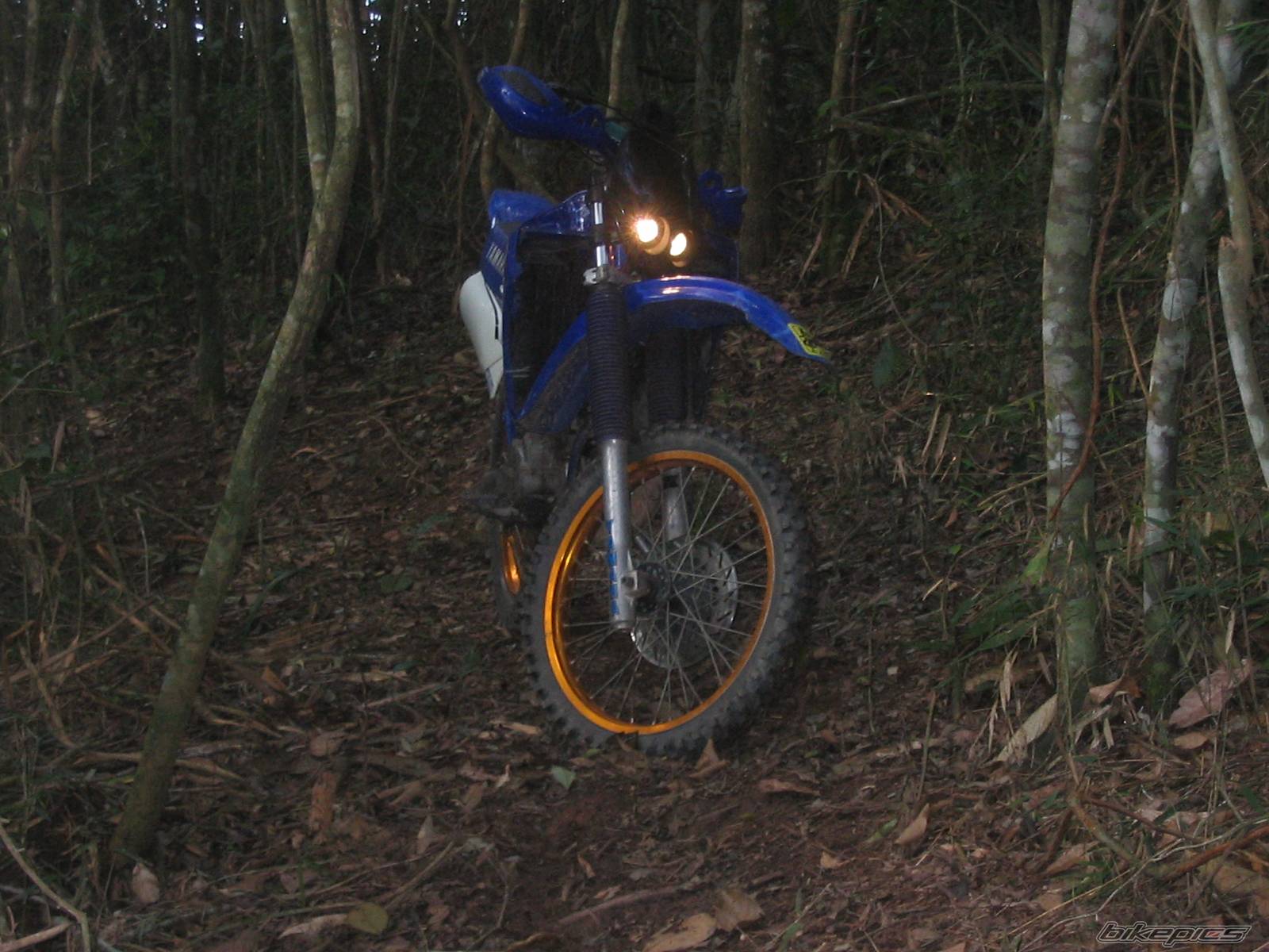 Photo 186471
