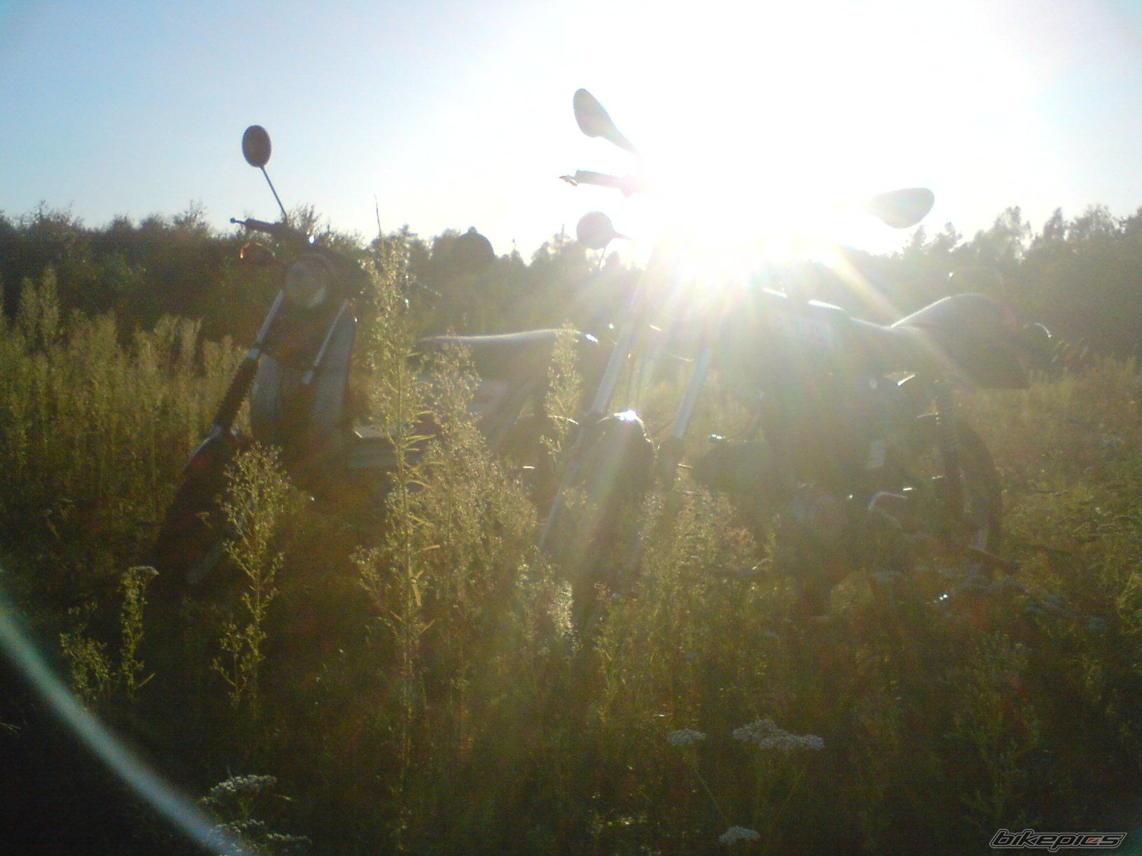 Photo 1865228