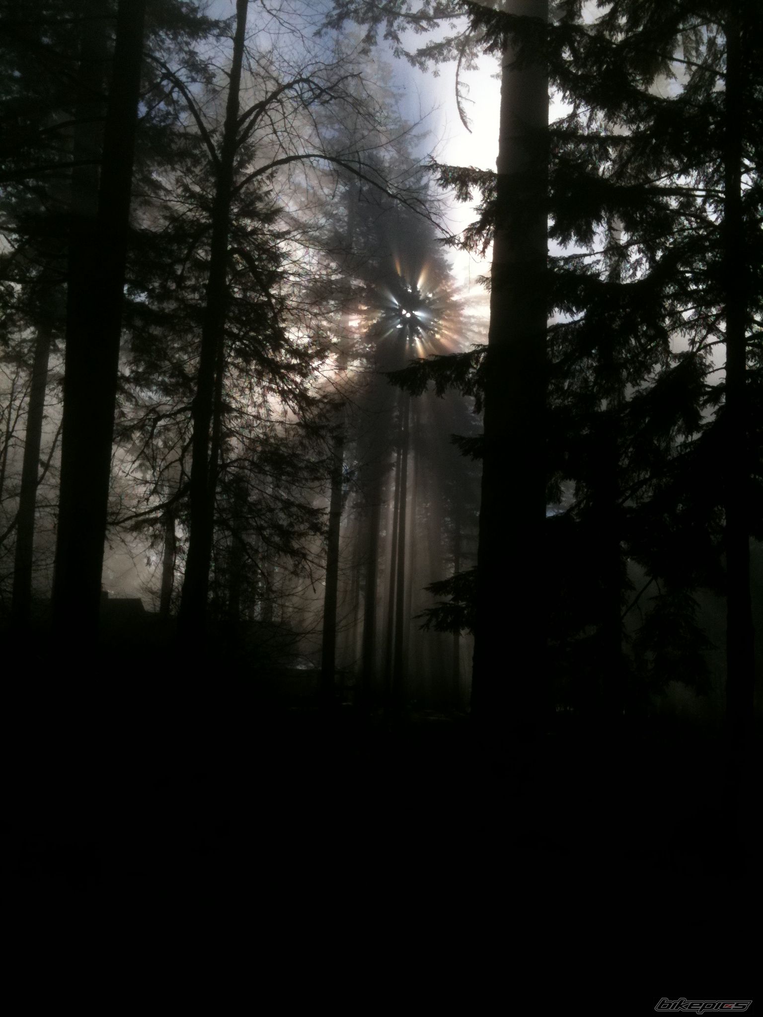 Photo 1865325