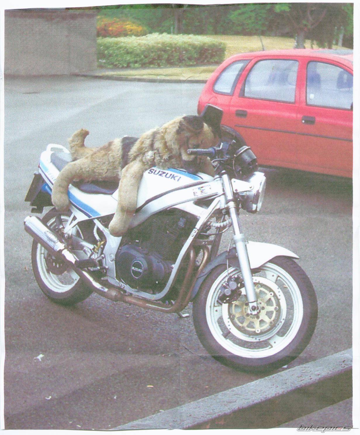Bike Photo 186571