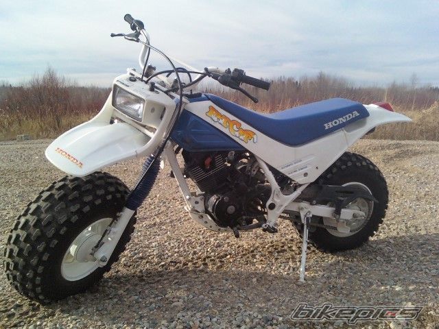 Photo 1866232