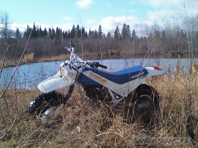 Photo 1866235