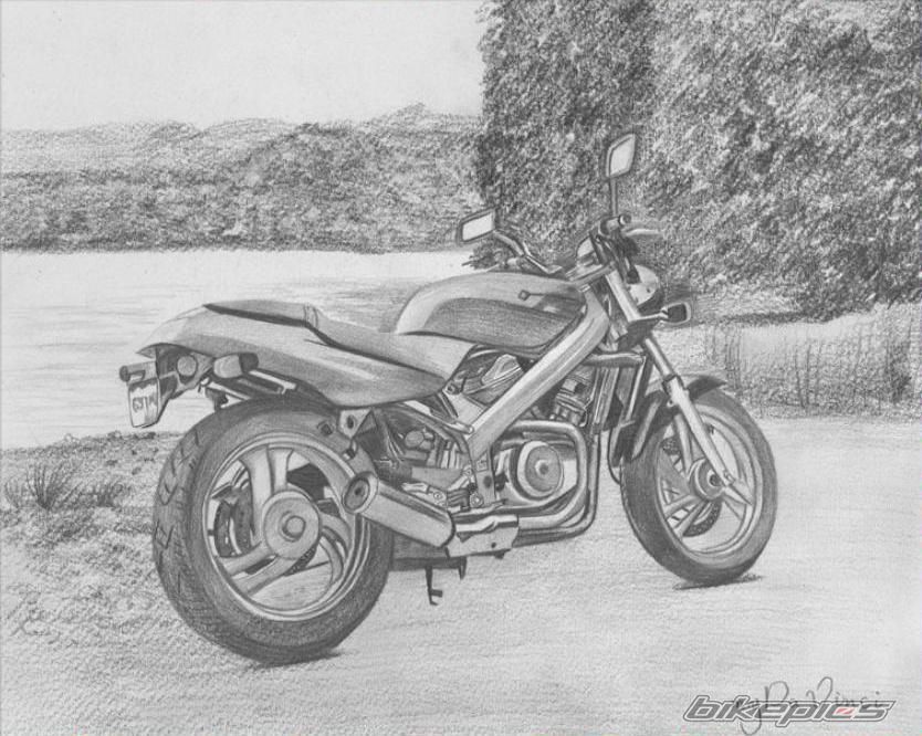 Bike Photo 1866376