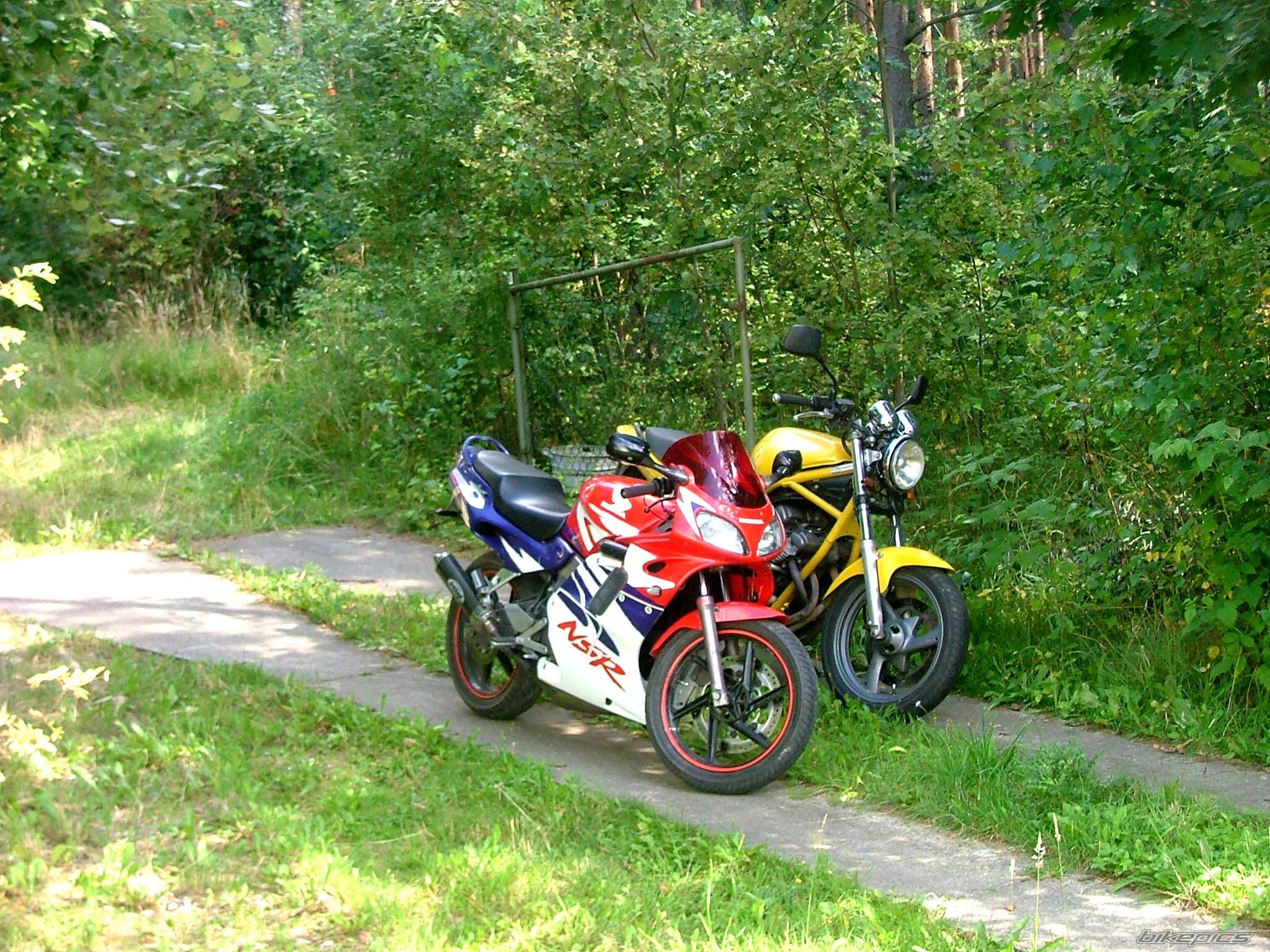 Photo 1866655