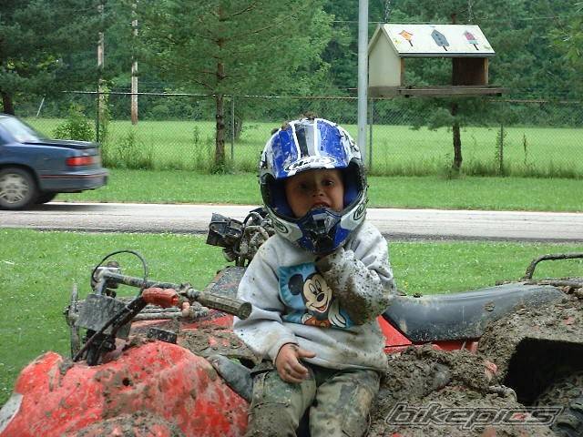 Photo 186672