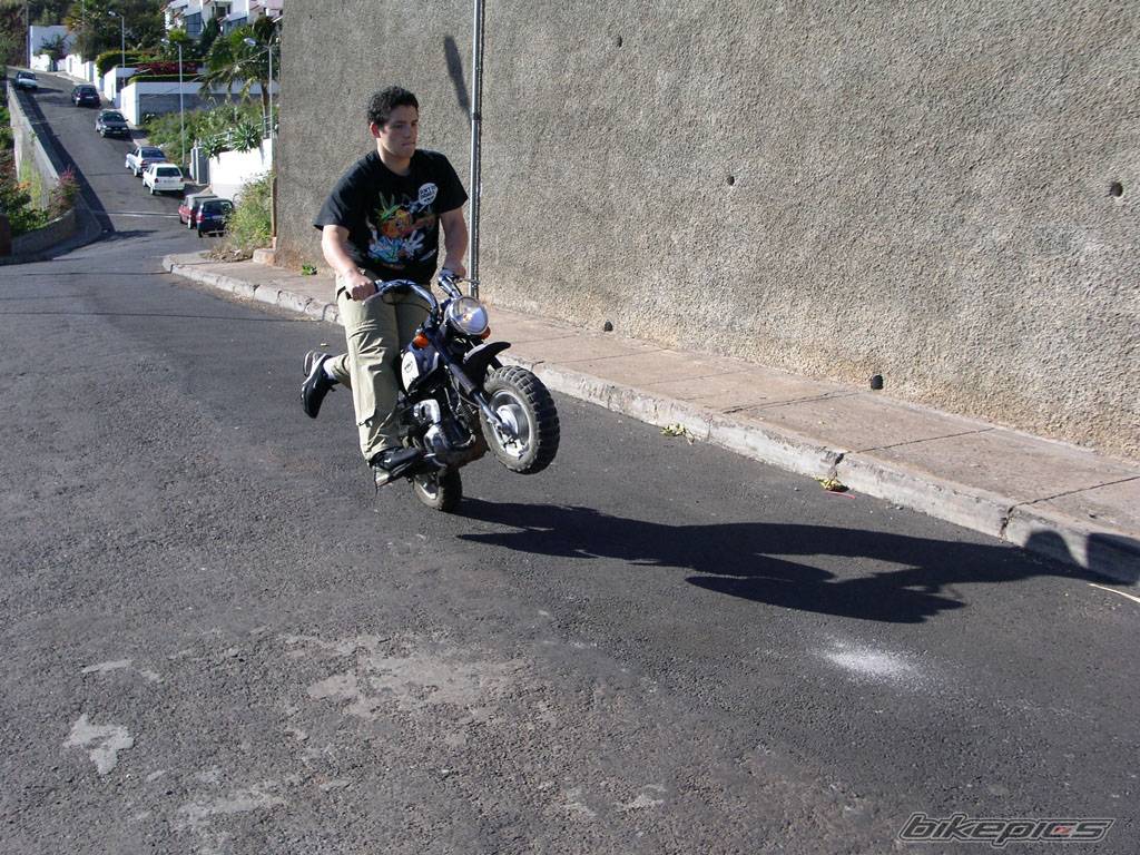 Photo 186686