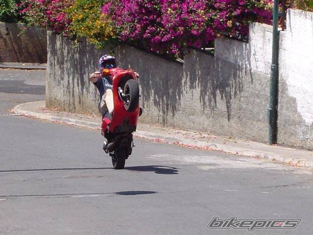 Photo 186688