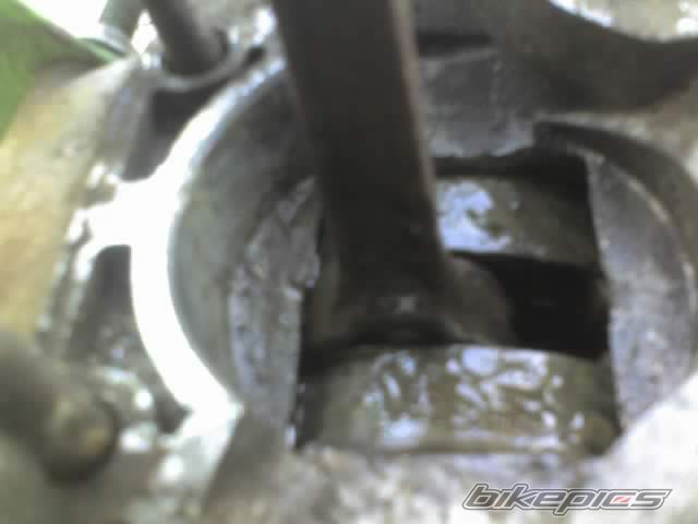 Photo 1866995