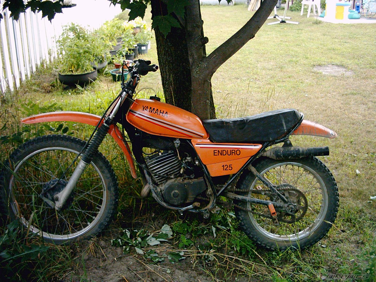 Bike Photo 186754