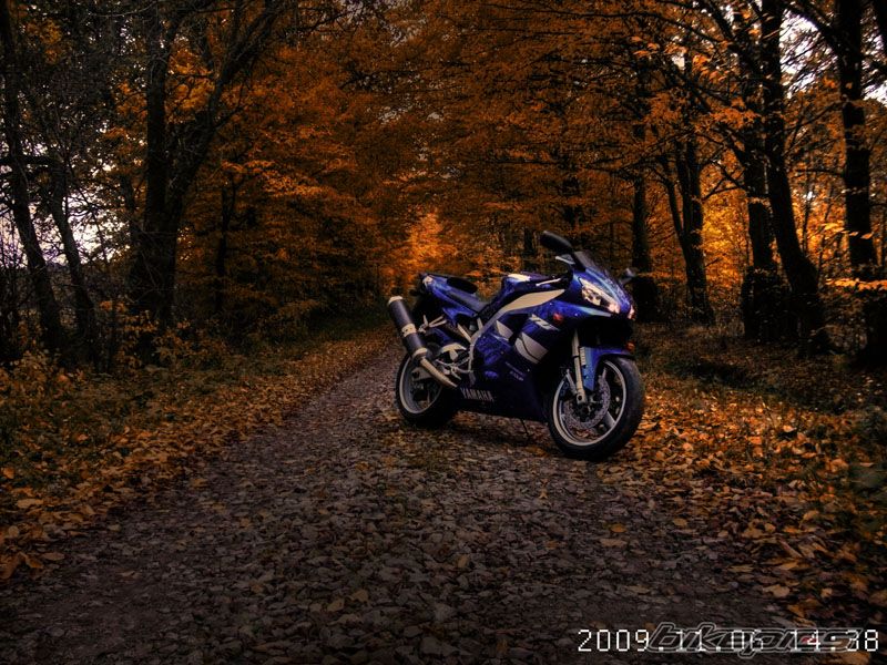 Photo 1868125