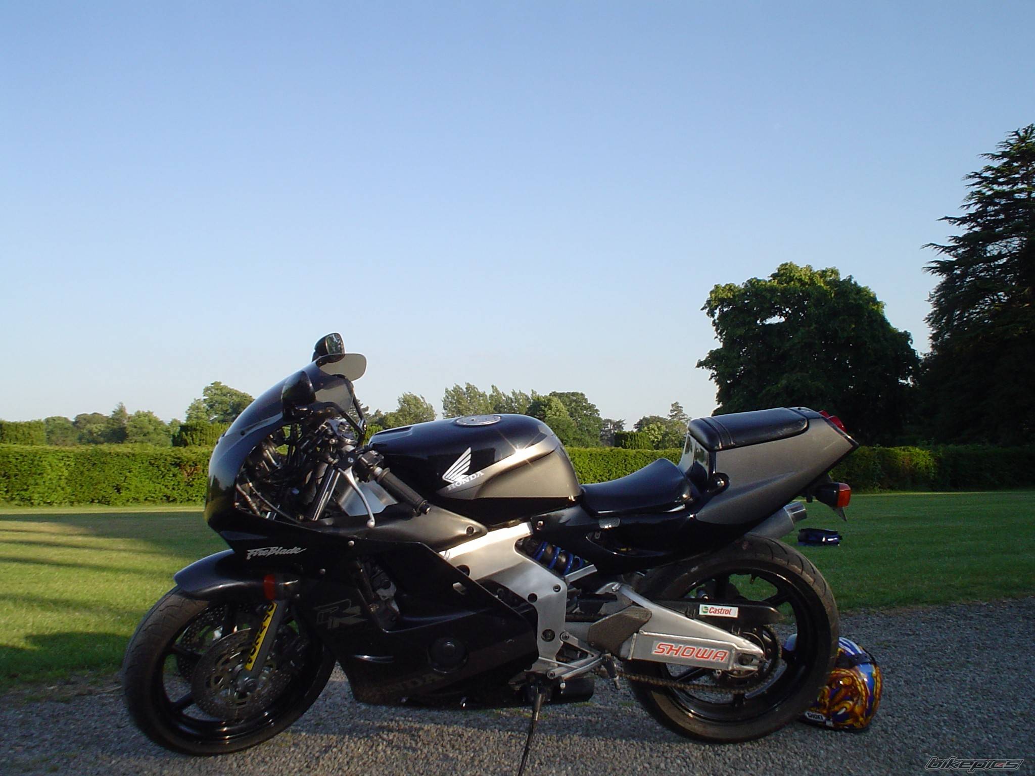 Photo 186838