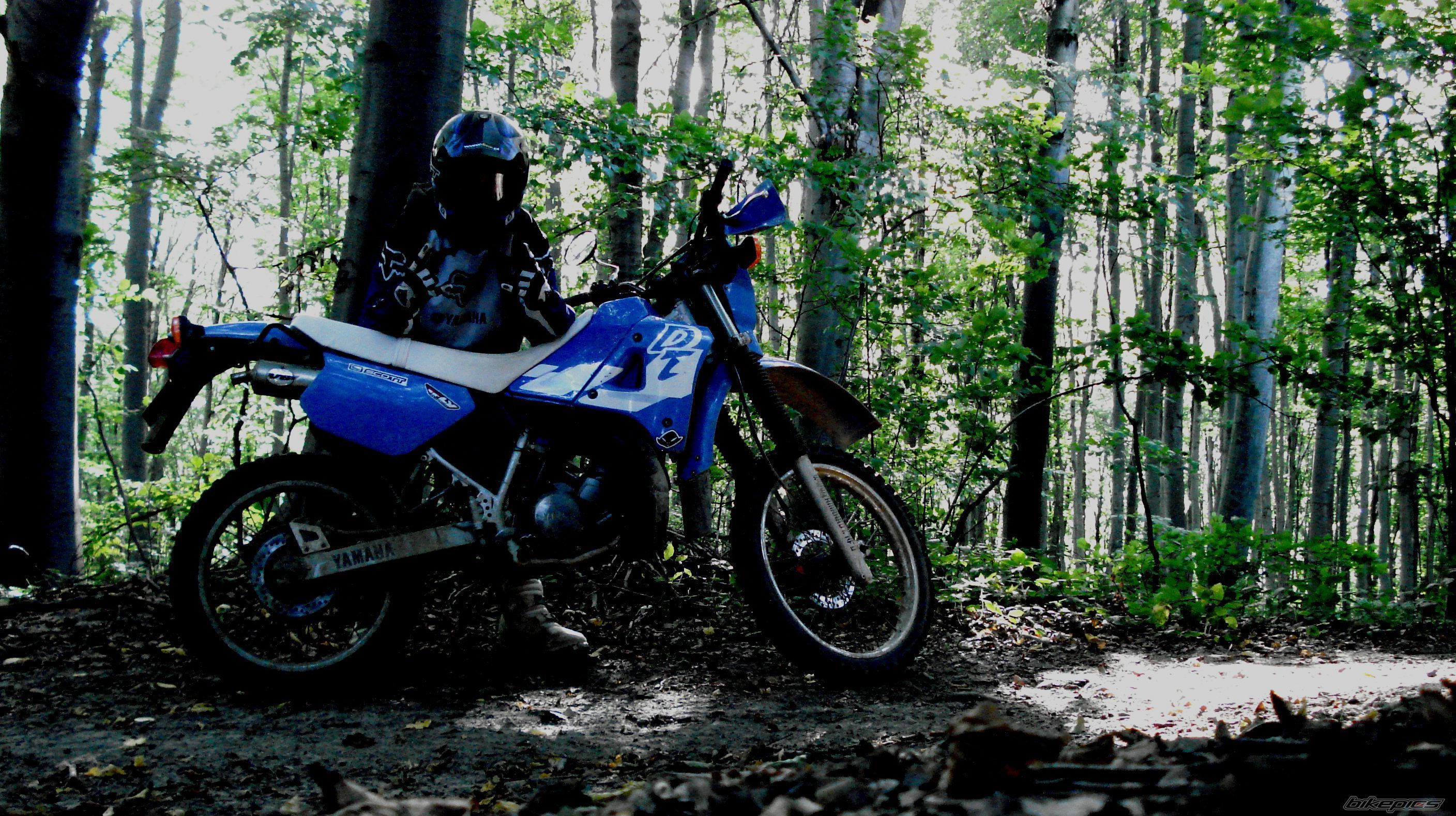 Bike Photo 1868381