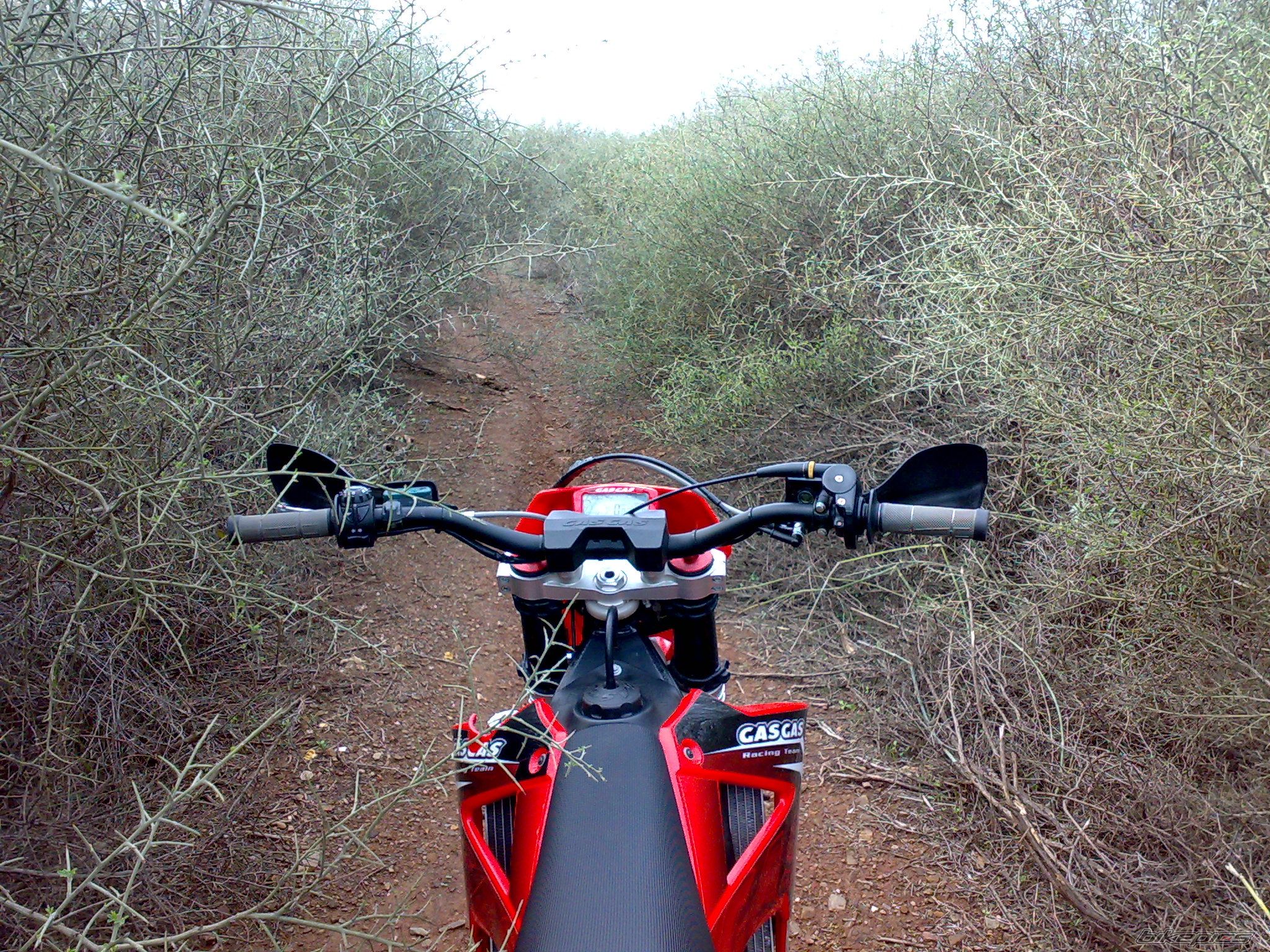 Bike Photo 1868482