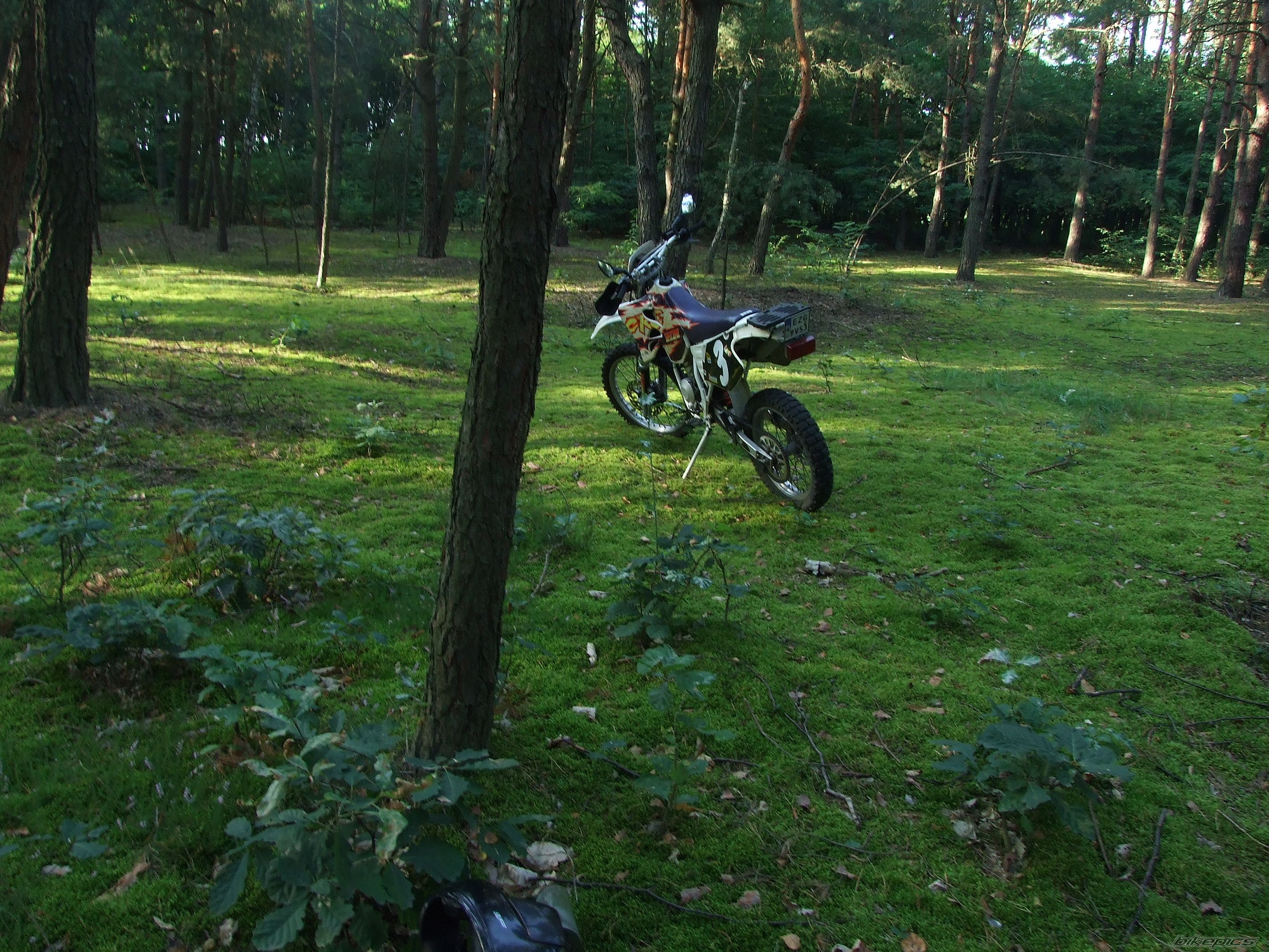 Photo 1868526