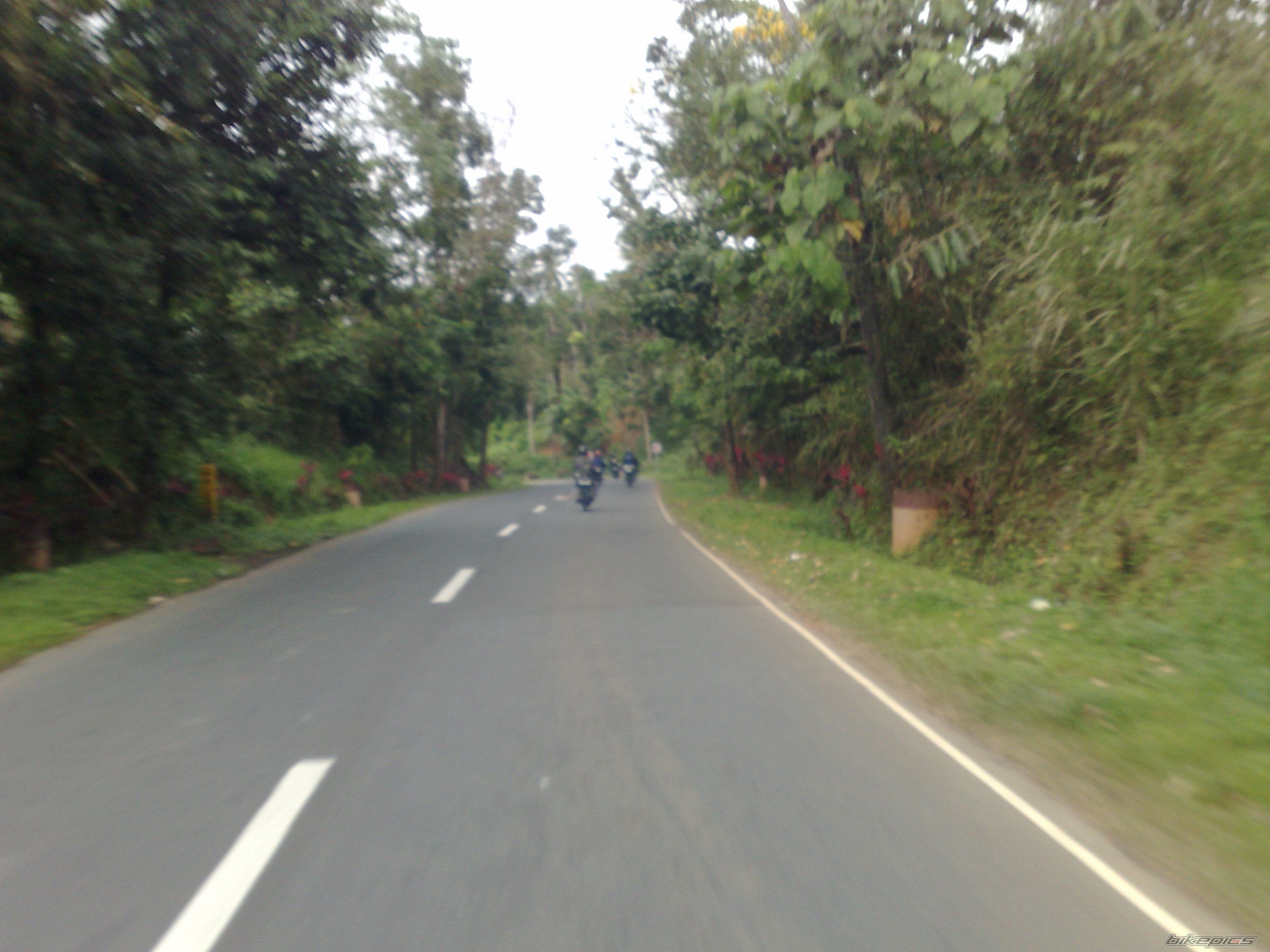 Photo 1868569