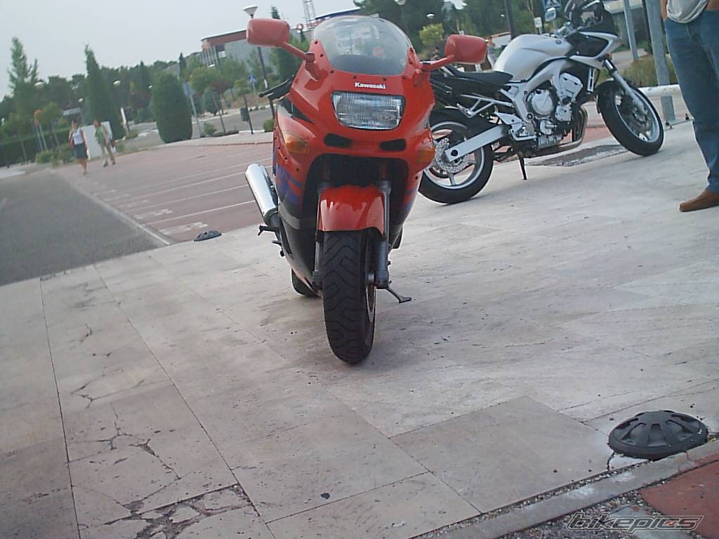 Photo 186863