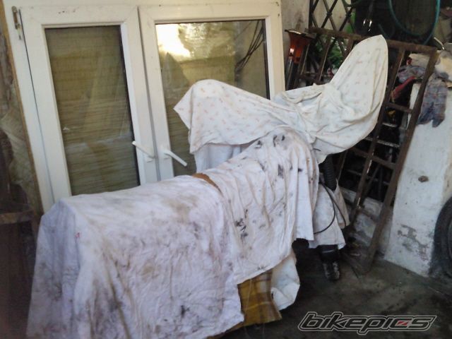 Photo 1868653