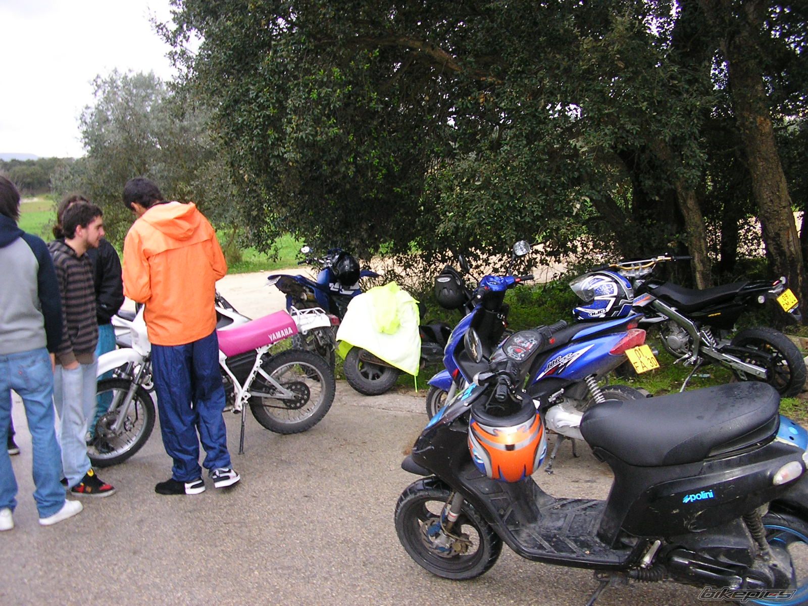 Photo 1868709