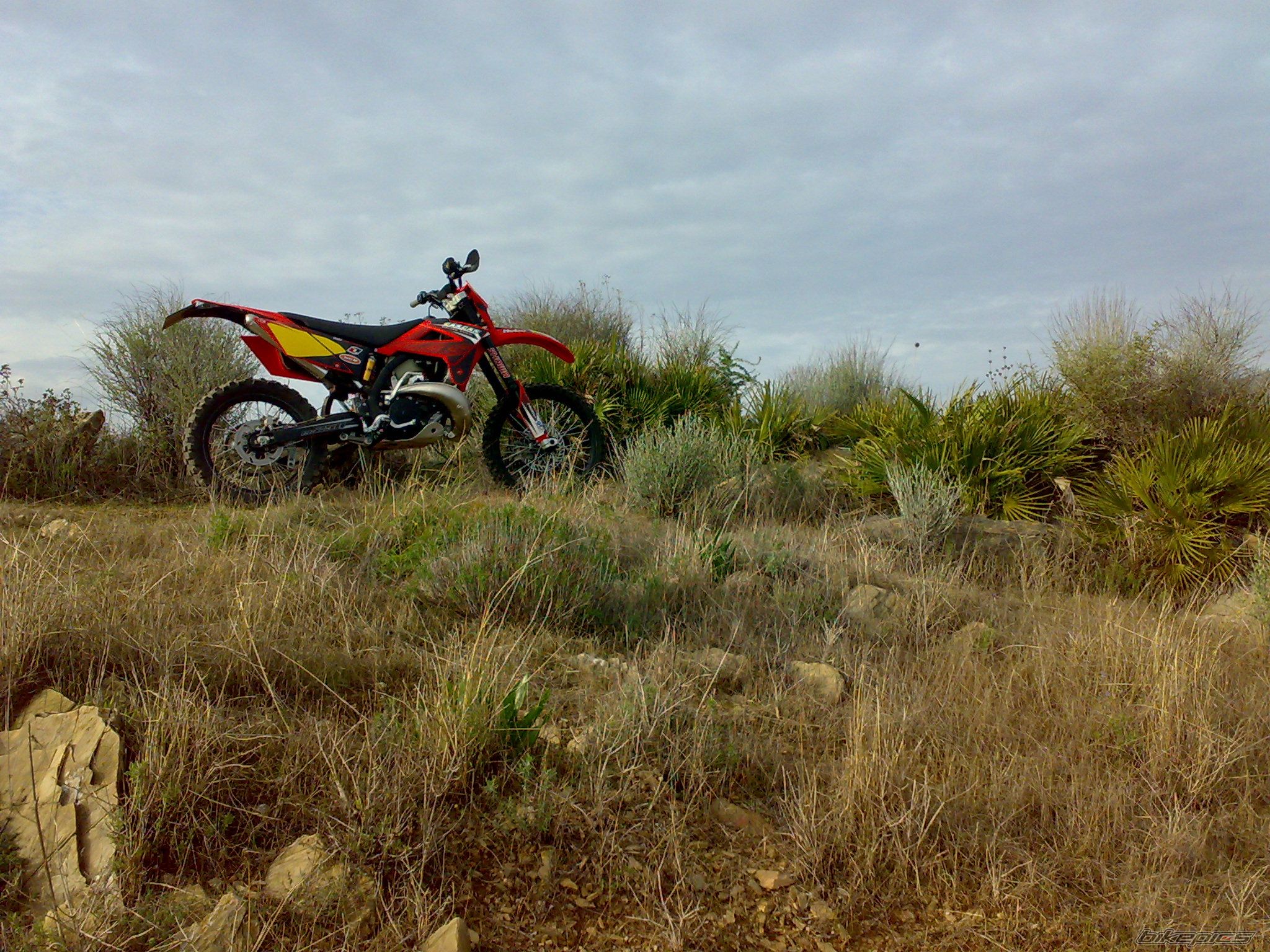 Photo 1868744