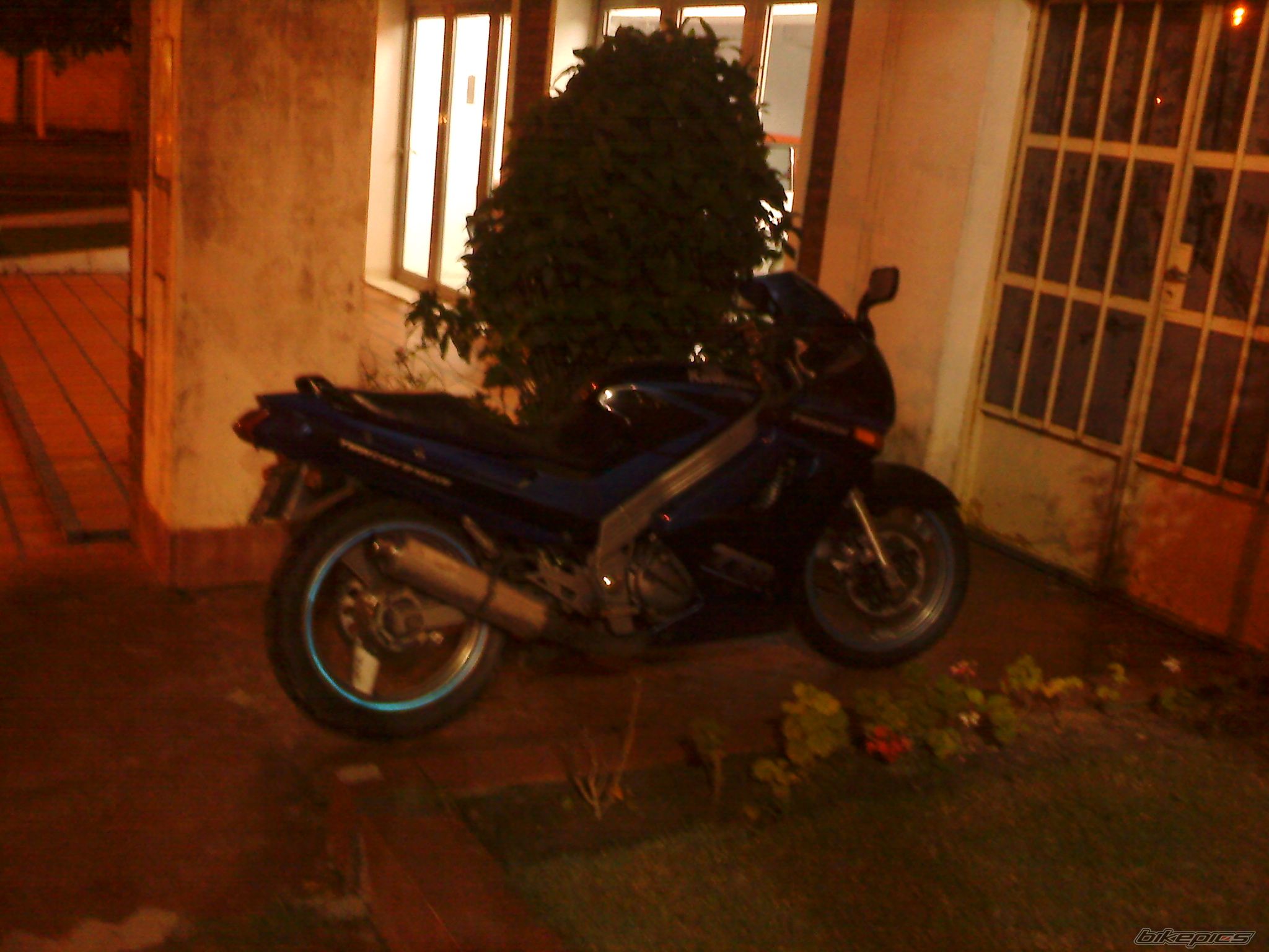 Photo 1869159