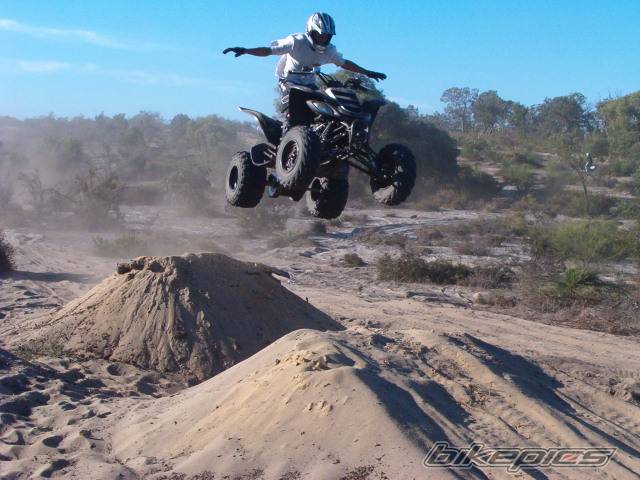 Photo 186933