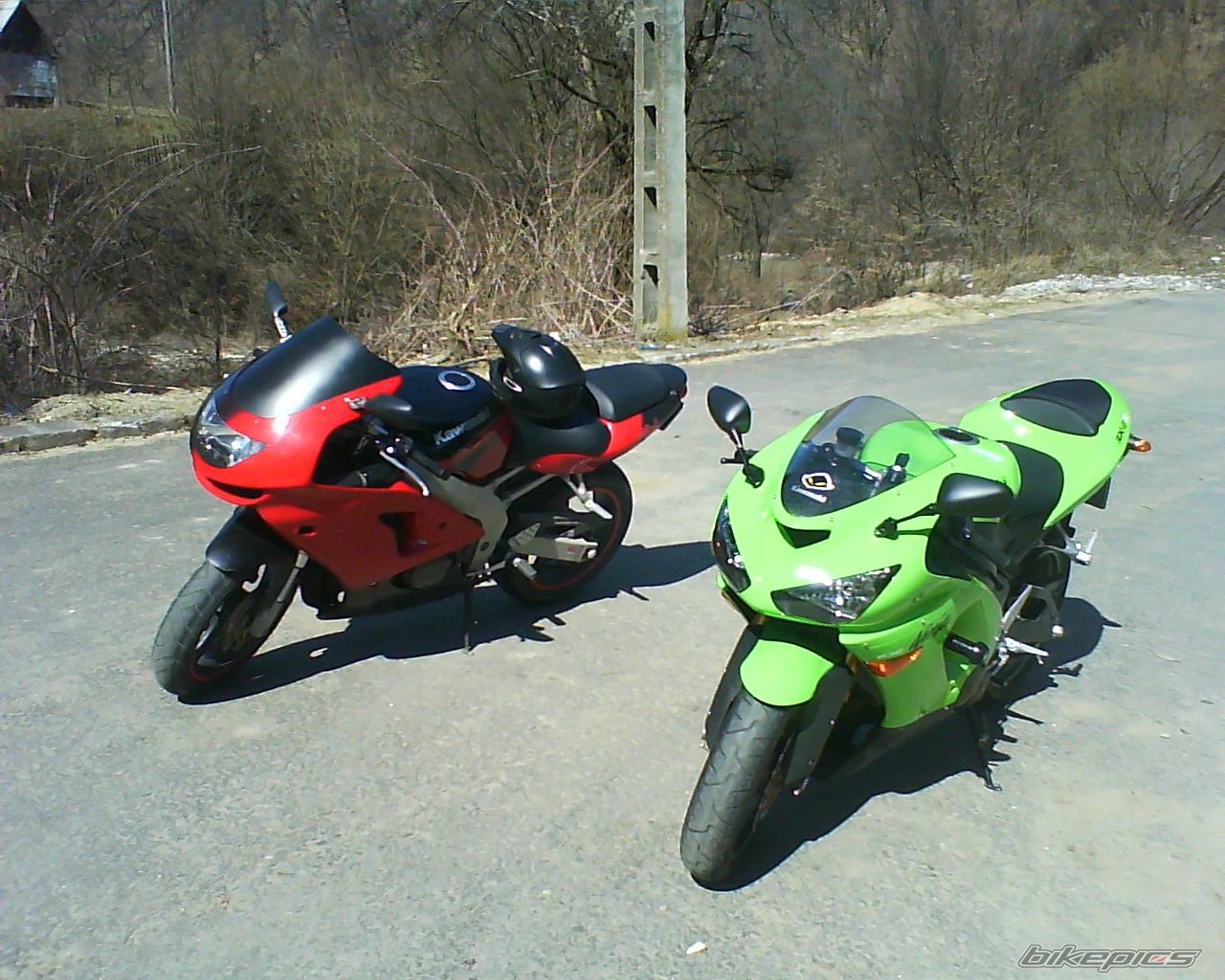 Photo 1869384
