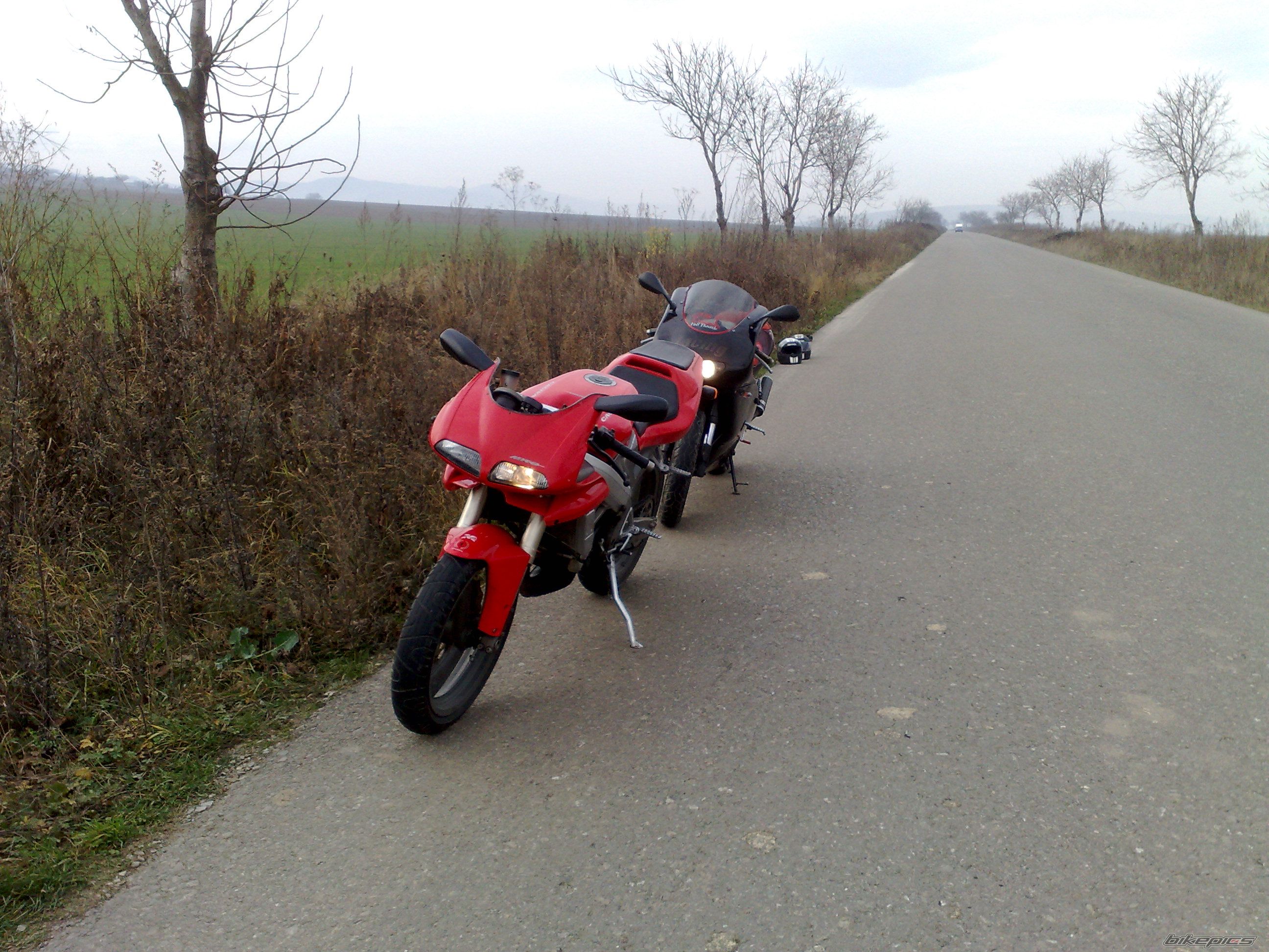 Photo 1869402