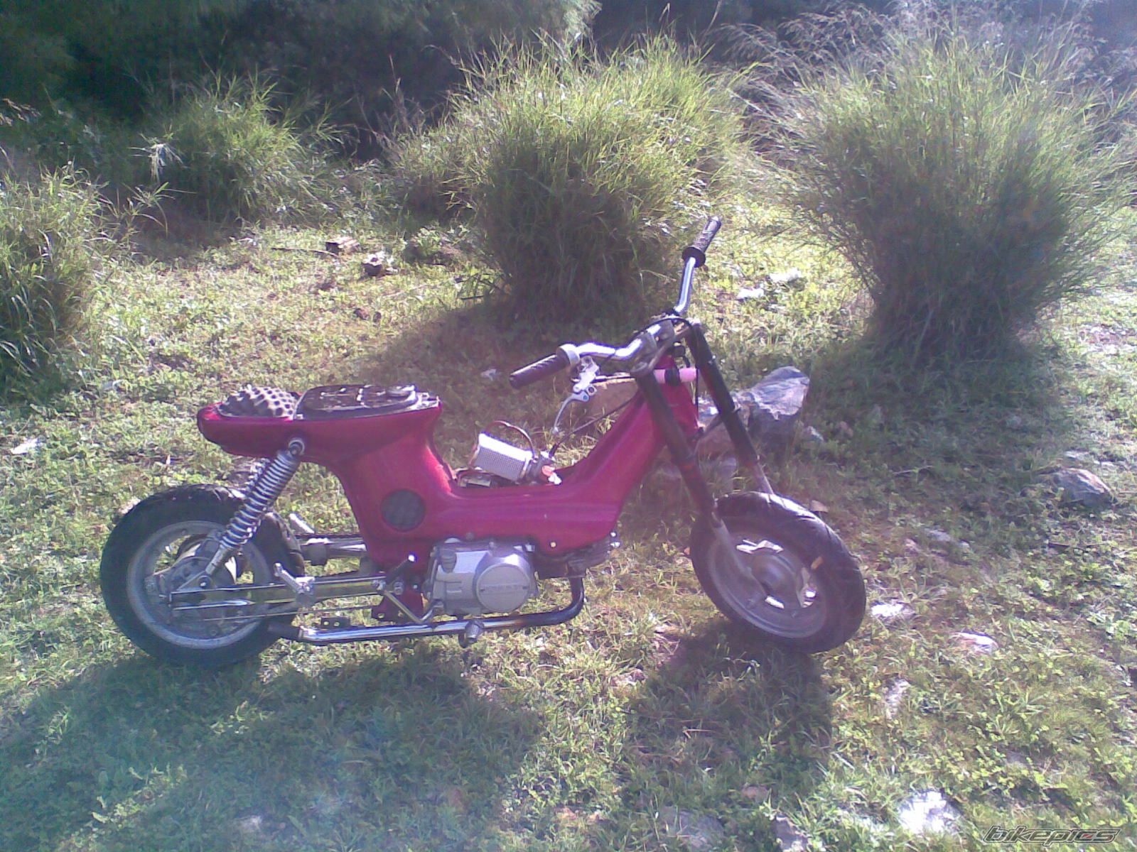 Photo 1869629