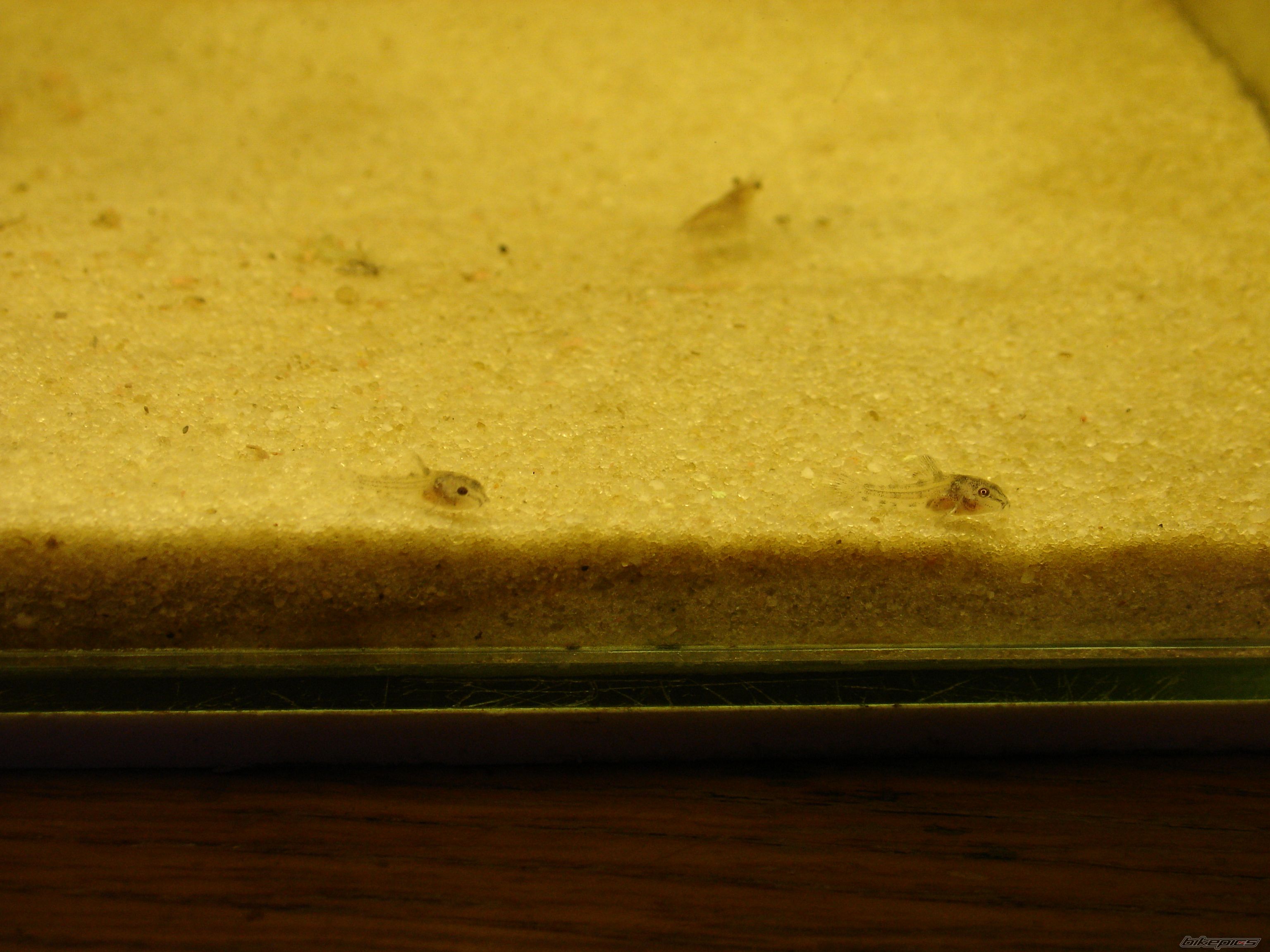 Photo 1869715