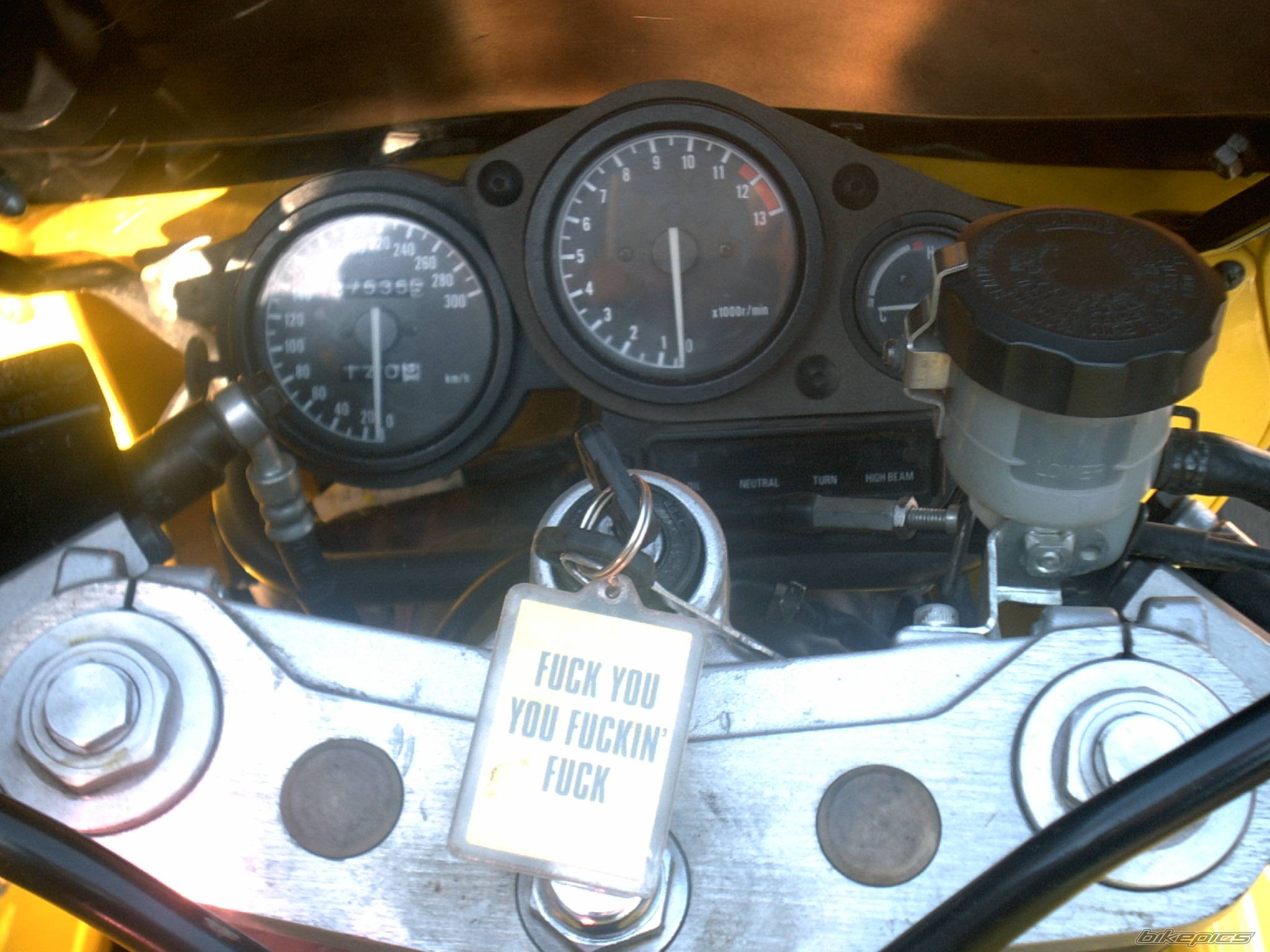 Photo 186987