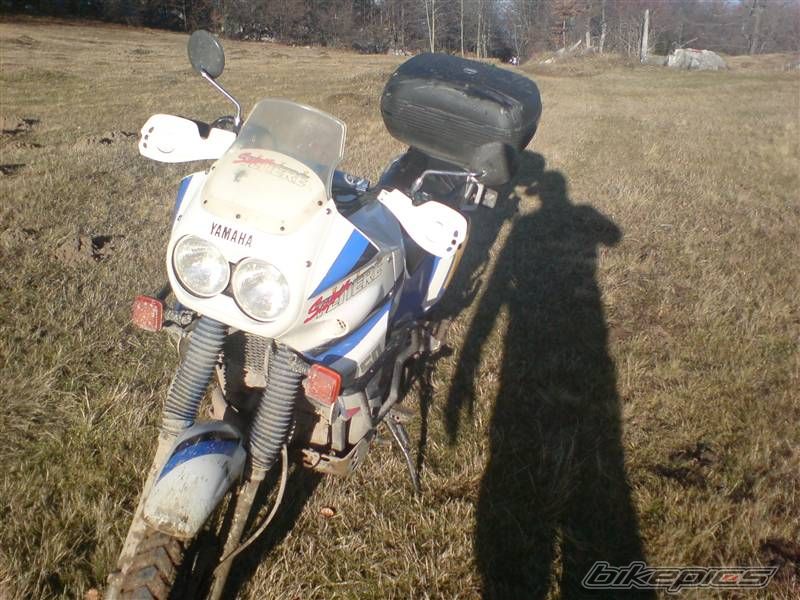 Photo 1869917