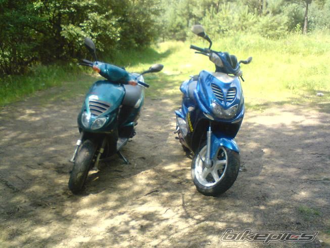 Photo 1870268