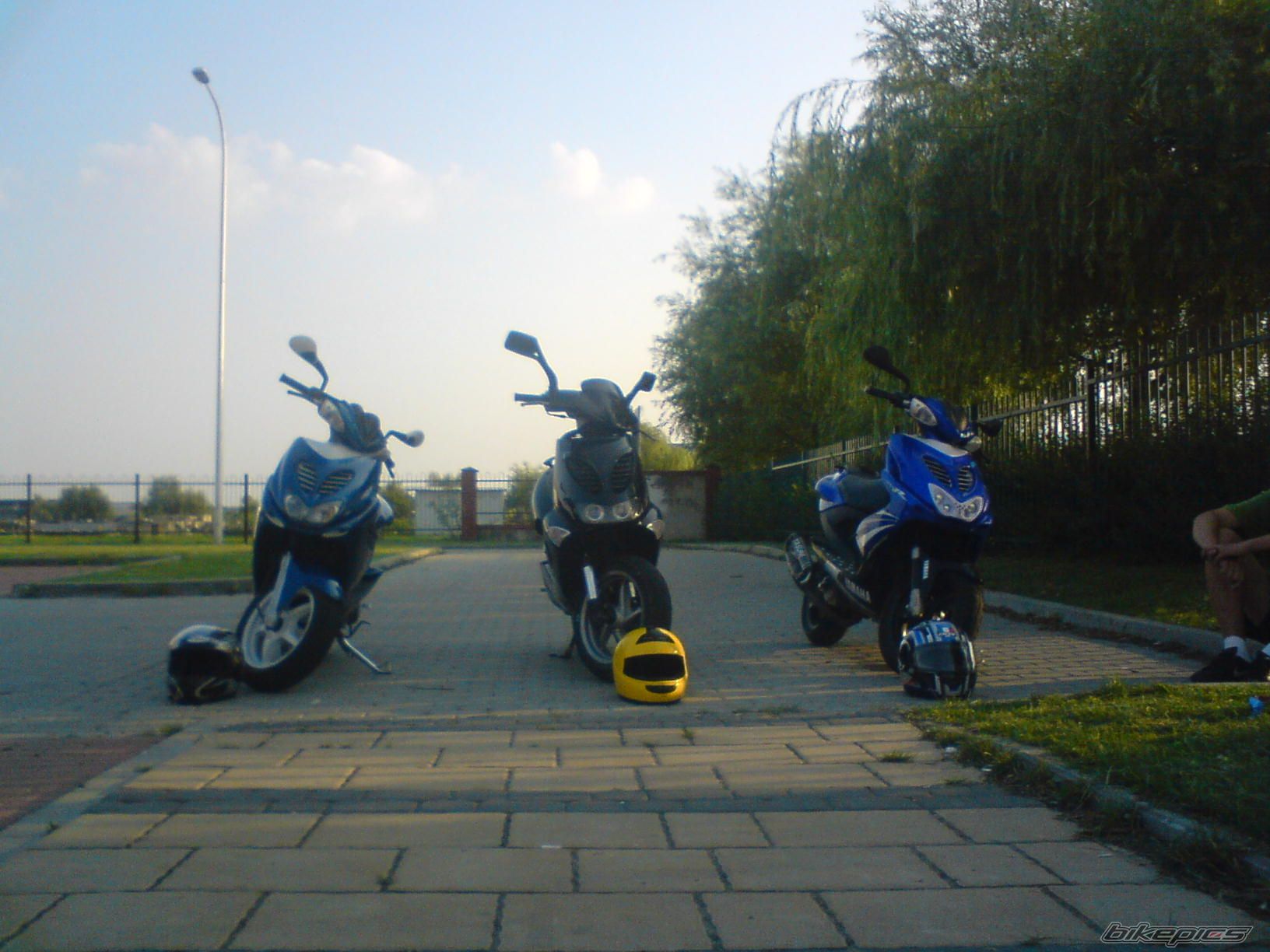 Photo 1870279