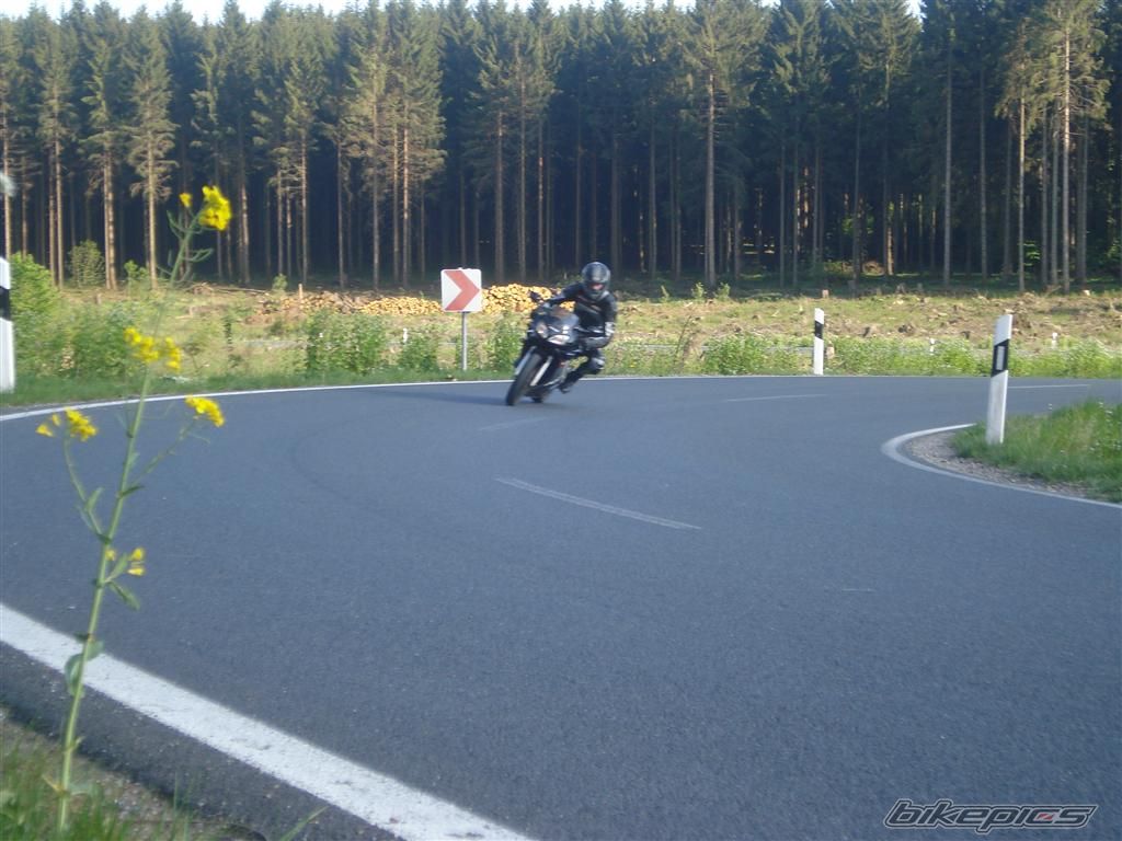 Photo 1870445