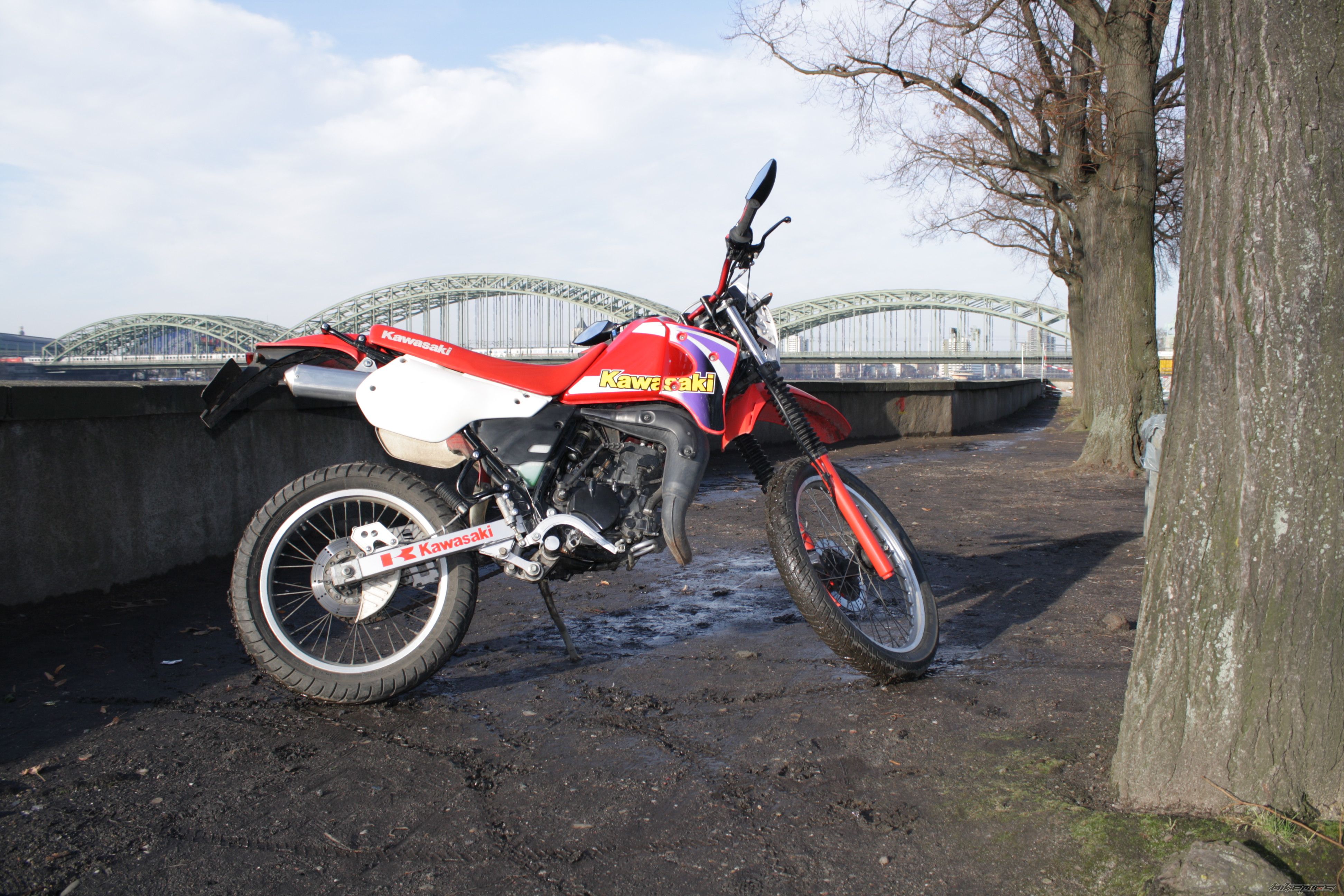 Bike Photo 1870790