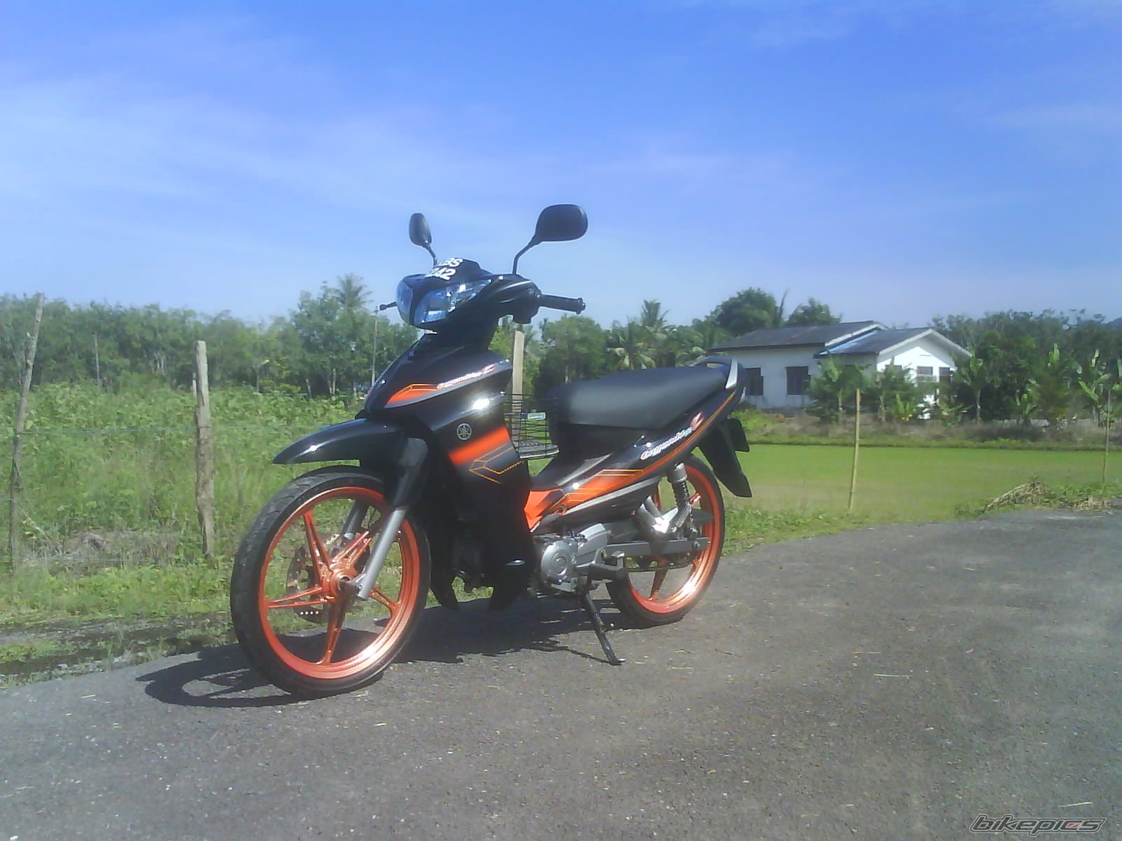 Photo 1871219