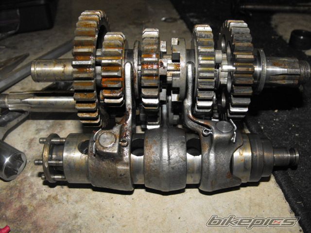 Photo 1871705