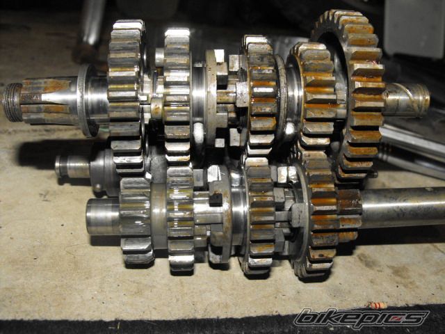Photo 1871706