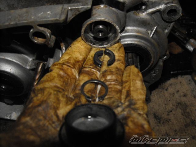 Photo 1871712