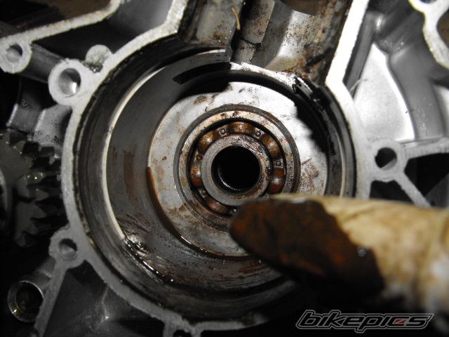 Photo 1871715