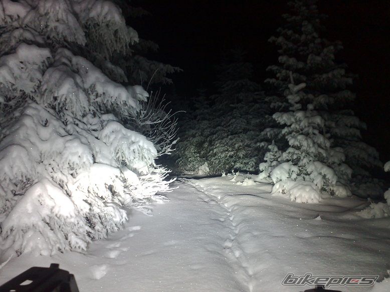 Photo 1871737