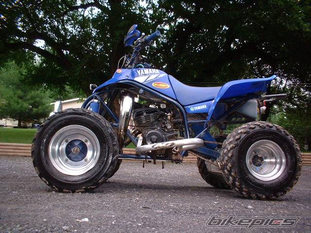 Photo 187185