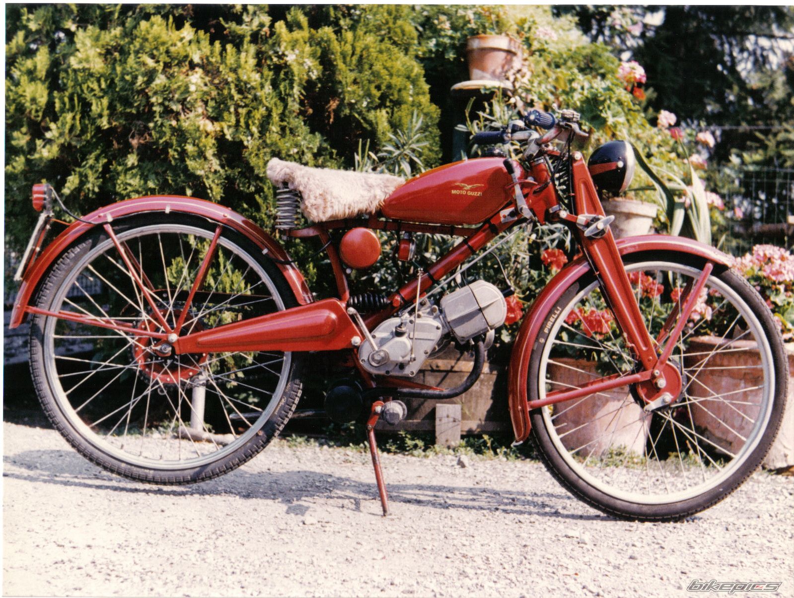 Photo 1871978