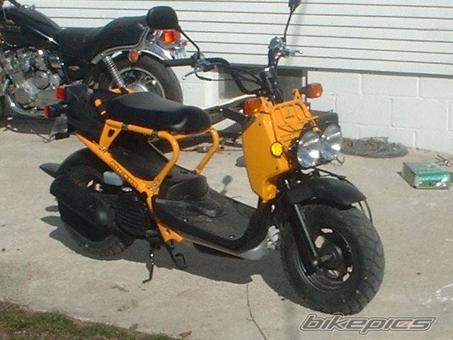 Photo 187242
