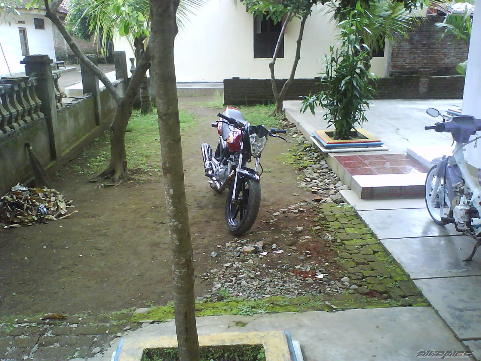 Photo 1872598
