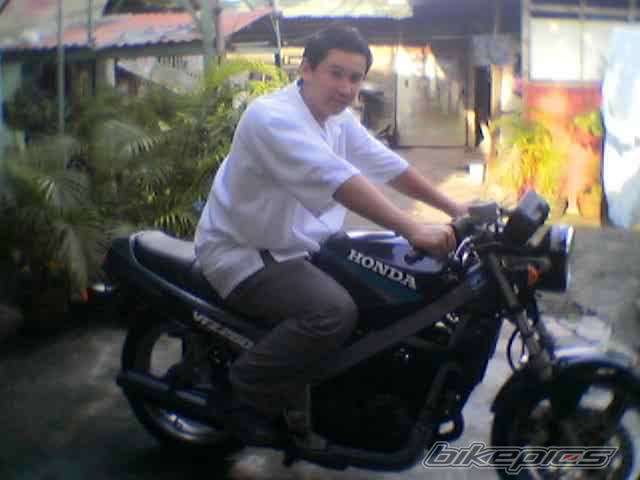 Photo 187274