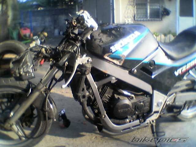 Photo 187276
