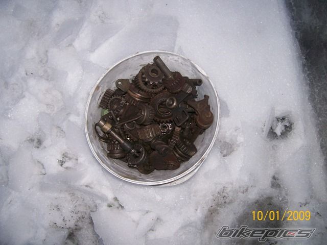 Photo 1872858