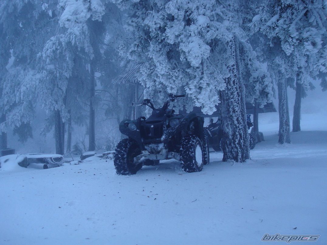 Photo 1872931