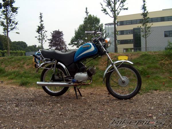 Photo 187304